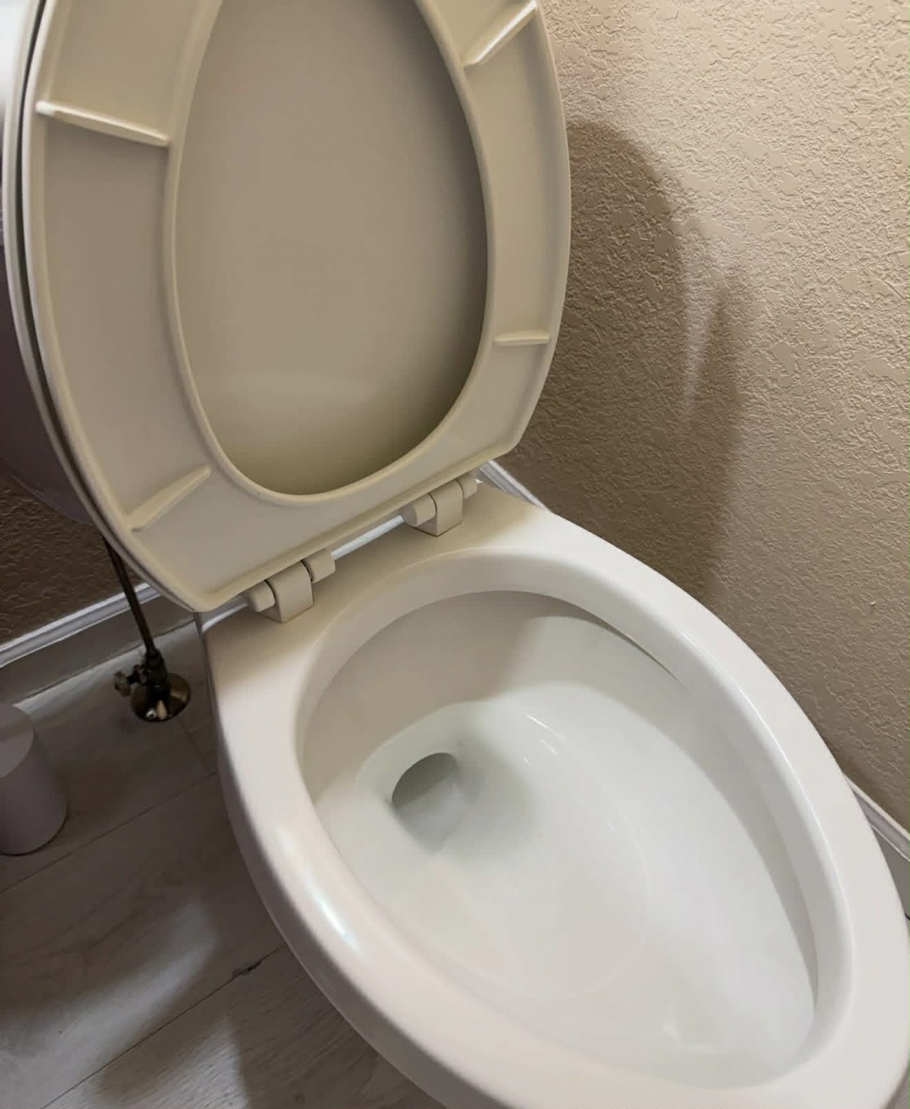 After professional bathroom cleaning in Masonville ON